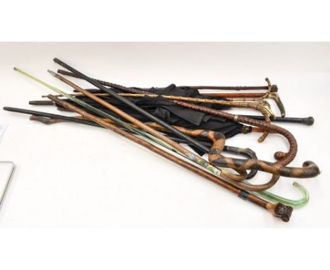 A glass walking stick with ten walking sticks, some with novelty handles, some having white metal collars, with a horn-handle