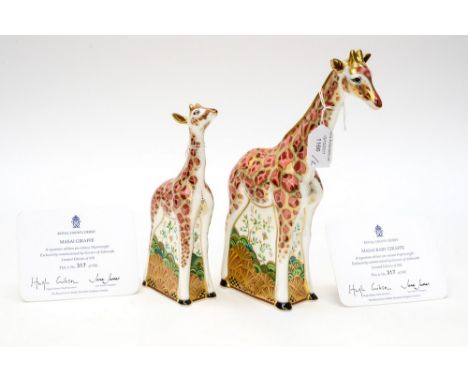 Royal Crown Derby first quality Masai Giraffe, limited edition 317/950, with Masai Baby Giraffe, limited edition 317/950, bot