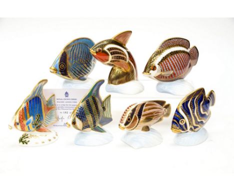 Seven Royal Crown Derby Tropical Fish, including Pacific Angel Fish, limited edition 192/2500 with certificate, Koran Angel F