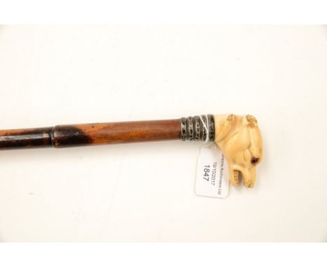 A French Malacca cane walking stick late 19th Century, the knop is a carved ivory head of a snarling dog, with glass eyes, a 