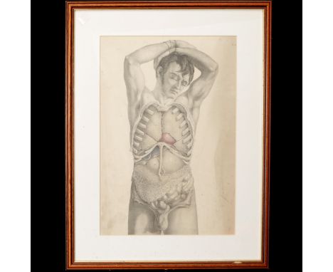 Three original prints from the First Edition of Surgical Anatomy by Joseph Maclise 1851, each mounted under glass in beech wo