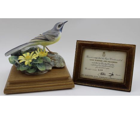 A Royal Worcester bone china ornithological figurine, "Grey Wagtail Motacilla Melanope and Celandine", modelled by Dorothy Do