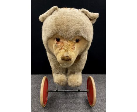 A mid 20th century Ride on Bear, possibly steiff, glass eyes, shaped snout, wood wool stuffing, metal bar cradle, red hub whe