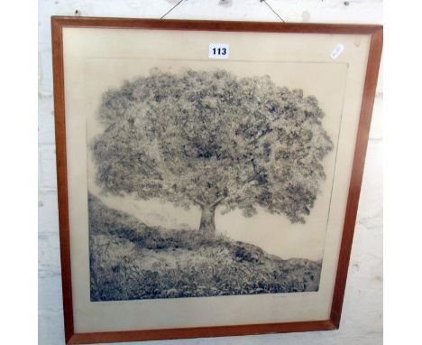 Richard Sloat (b.1945-), American, etching study of a tree, 17" x 17" plate size, signed in pencil lower right