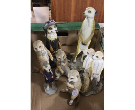 A TRAY OF COUNTRY ARTISTS MEERKAT FIGURES
