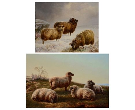 CHARLES JONES (1836-1892) Sheep in a snowy landscape, signed with a monogram and further signed and dated '1874' verso, oil o