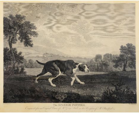 WILLIAM WOOLLETT (AFTER GEORGE STUBBS) 'The Spanish Pointer', engraving, pub. R H Laurie, 53 Fleet Street, London (re-strike)