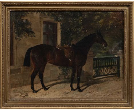 JOHN DUVALL (BRITISH 1816 - 1892), BAY HUNTER AT A GATE oil on canvas, signed framedimage size 35cm x 45cm, overall size 42cm
