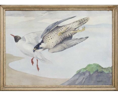 * RALSTON GUDGEON RSW (SCOTTISH 1910 - 1984), PEREGRINE FALCON AND PREY watercolour on paper, signedframed and under glassima