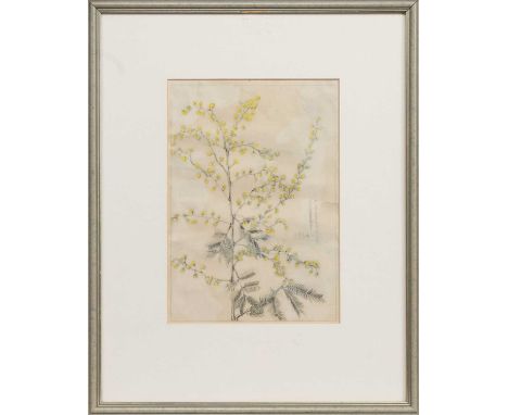 * ROBERT COLQUHOUN (SCOTTISH 1914 - 1962), MIMOSA STUDY watercolour on paper, signed and dated 1934mounted, framed and under 