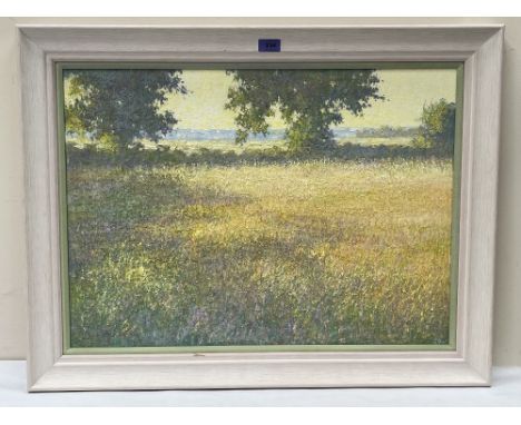 GREGORY DAVIES. BRITISH 20TH CENTURY Grasses, Evening Light. Signed. Signed again, inscribed and dated 1985. Oil on board 20'