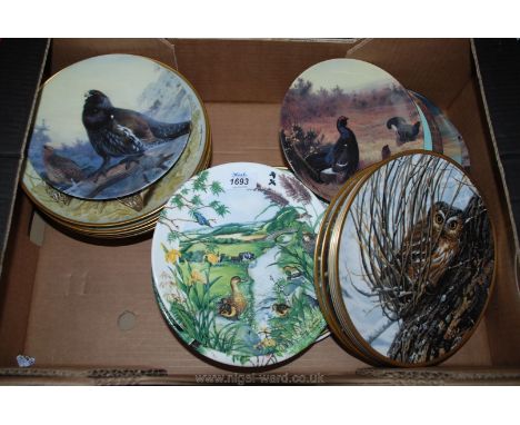 A quantity of display plates to include Spode Hiding Place, Franklin Game Birds of the World, Wedgwood Colin Newmans Country 