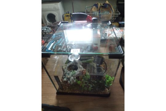 square fish tank small