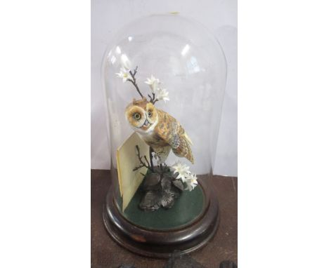 A Royal Worcester bronze and porcelain model of an owl, under a glass dome, with certificate