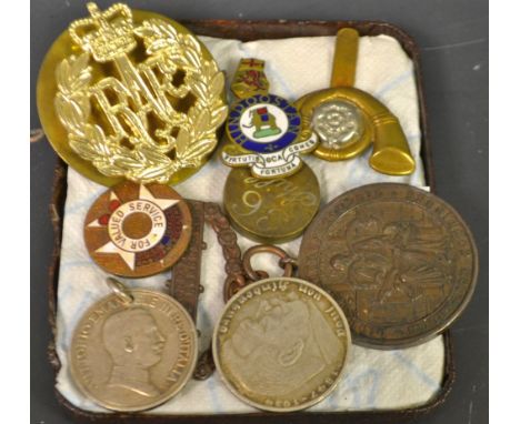 A RAF badge; enamel badges; coins; etc.