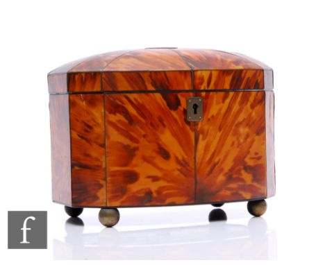 A 19th Century tortoiseshell tea caddy, domed segmented top, fitted with two divisions, on brass ball feet, width 20cm.  PLEA