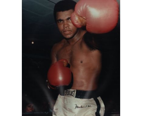 ALI MUHAMMAD: (1942-2016) American Boxer, World Heavyweight Champion. Large signed colour 16 x 19 photograph of Ali standing 