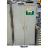 2-DOOR METAL CABINET