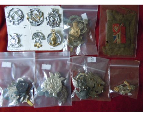 A Large collection of British and foreign cap badges, many scarce; Transvaal, Royal Hampshire Officers variant, Polish 1st Ar