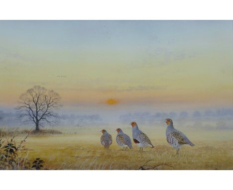 HAYMAN, PETER (born 1930) British (AR), English Partridges, print with original signed pencil and watercolour of a Partridge'