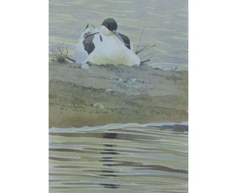 GILLMOR, ROBERT ALLEN FITZWILLIAM (1936-2022) British (AR), Avocet, a signed limited edition print, numbered 80/350 and signe
