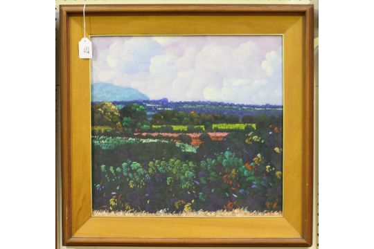 Ibarra de la Rosa - Landscape with Mountain and Paddy ...