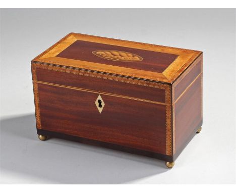 George III mahogany and satinwood tea caddy. The shell inlaid top with satinwood chequer strung border, raised on brass ball 