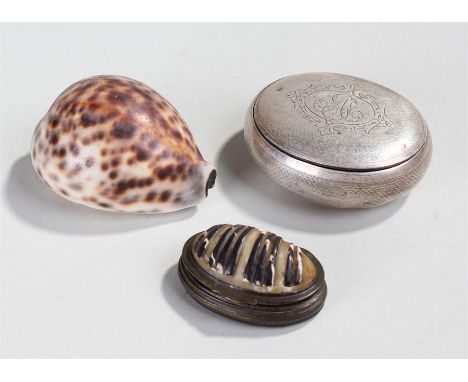 Three 19th Century snuff boxes including an engine turned white metal example, a cowrie shell example and a mussel shell exam