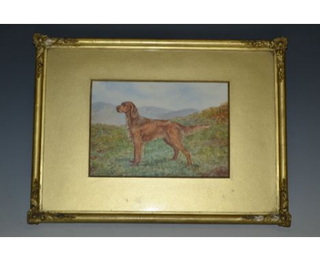E M Watson 
Irish Setter at Work
signed, watercolour, 12cm x 17cm

Paper label to verso for Birmingham Exhibition 1936, no.80