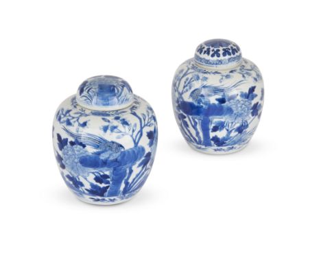 A Pair of Chinese blue and white 'pheasants and flowers' jars and coversQing Dynasty, 19th century, apocryphal Kangxi markPai