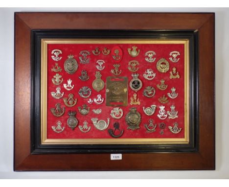 A framed display of forty eight military cap badges with a brass duty plate for The Somerset Light Infantory Prince Alberts 