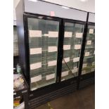 Econo Cold "GX-D1.2BM2F-HC" 2 Door Freezer S/N 7623 3153 2102 0521