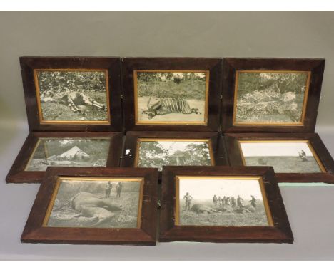 Eight 1920s framed big game hunting photographs, 30 x 35cm overall