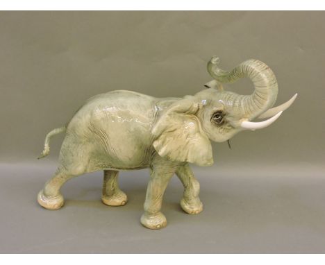 A Goebel elephant, trumpeting