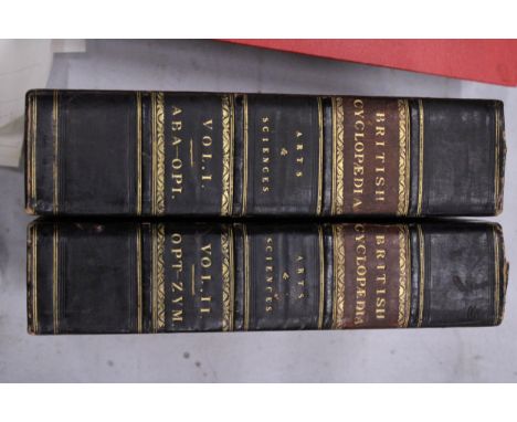 TWO VINTAGE VOLUMES OF THE BRITISH CYCLOPEDIA ARTS ND SCIENCES VOLUME 1 AND 11