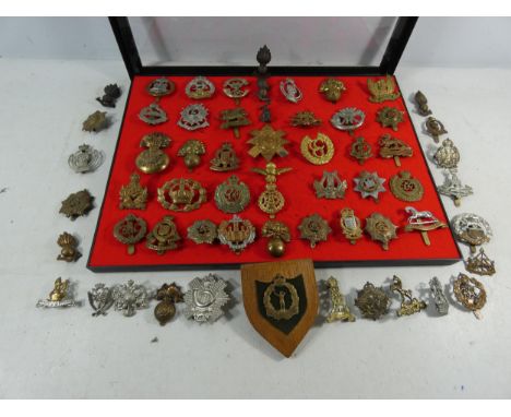 A COLLECTION OF SIXTY BRITISH ARMY CAP BADGES TO INCLUDE RAMC, ROYAL ARTILLERY, 42ND REGIMENT, COLDSTREAM GUARDS, GURKHAS ETC