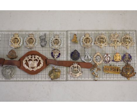 **Collection of British Military Cap BadgesThis grouping presents an assortment of British military cap badges meticulously d