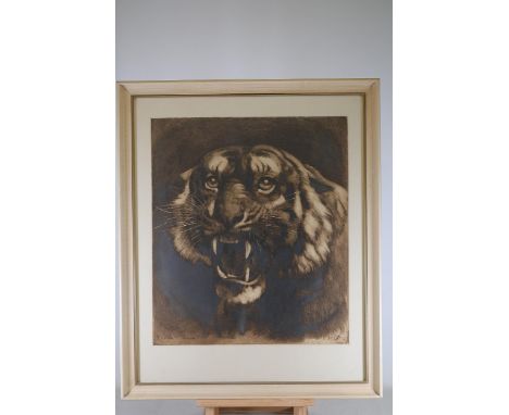 **Victorian Etching "Tiger's Head" by Herbert Dicksee, 1891**An original etching titled "Tiger's Head" by Herbert Dicksee (18