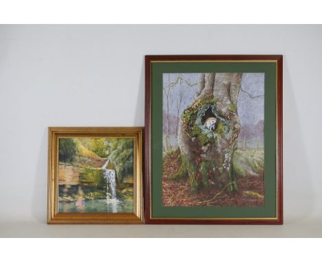 G Wright Signed Pastels: Barn Owl in Tree and Kingfisher by WaterfallA pair of signed pastels by G Wright. The first depicts 