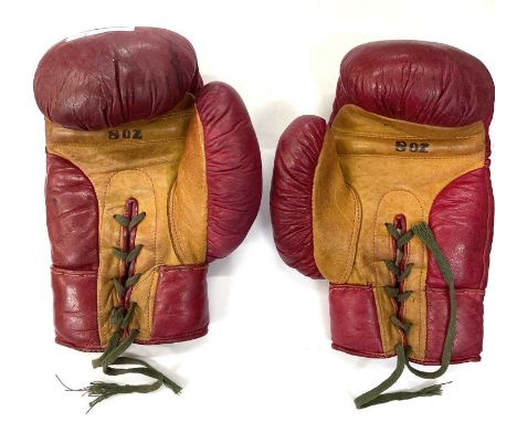 1996 Floyd Mayweather Jr. Fight Worn Boxing Gloves Used During