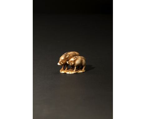 A JAPANESE IVORY NETSUKE MEIJI 1868-1912 Depicting a wild boar and her squeaker, standing on an irregular-shaped base simulat