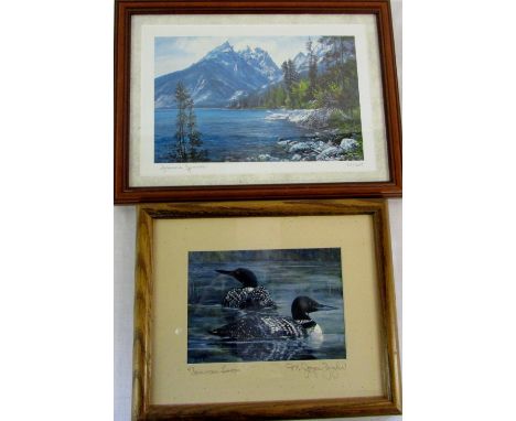 Joyce Zeigler Common Loon bird print & Joanna Hennes limited edition print 