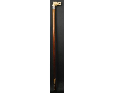 An antique ivory handled walking stick with embossed and engraved silver collar, handle intricately carved as a wolfs head. C