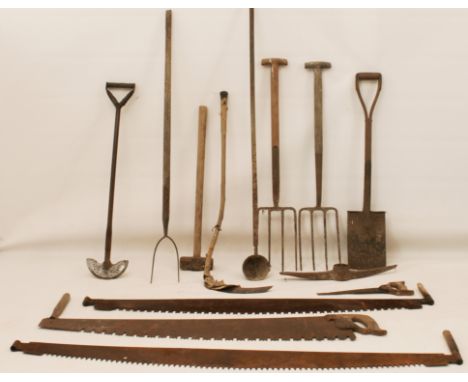 Thirteen vintage hand and garden tools: 3 two-man saws and a double edged handsaw; 2 garden forks and a spade; a pitchfork an