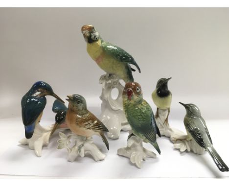 Five Karl Ens figures of birds comprising Parrots and garden birds.