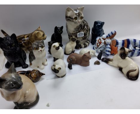 A collection of Winterton cats and other ceramic cat ornaments.