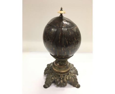 A Victorian polished coconut shell tea caddy raised on a metal base and with an ivory handle, approx height 23.5cm.