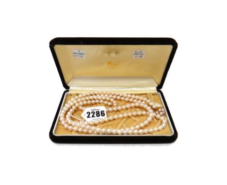 A two row necklace of uniform cultured pearls, on a gold and cultured pearl cluster clasp, detailed K 14, with a case, length