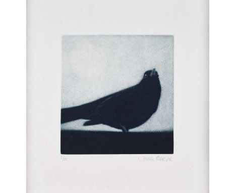 Sarah Gillespie (Contemporary) "Blackbird" (Sepia) (2023) Signed and numbered 2/20, mezzotint, 21cm by 21cm