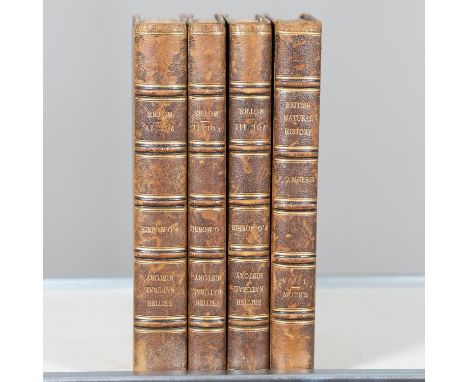 The Rev. F. O. Morris. A Natural History of British Moths, 4 volumes, new edition, 132 chromolithographic plates, contemporar